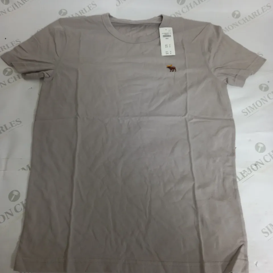 ABERCROMBIE & FITCH EMBROIDED T-SHIRT IN STONE - SMALL