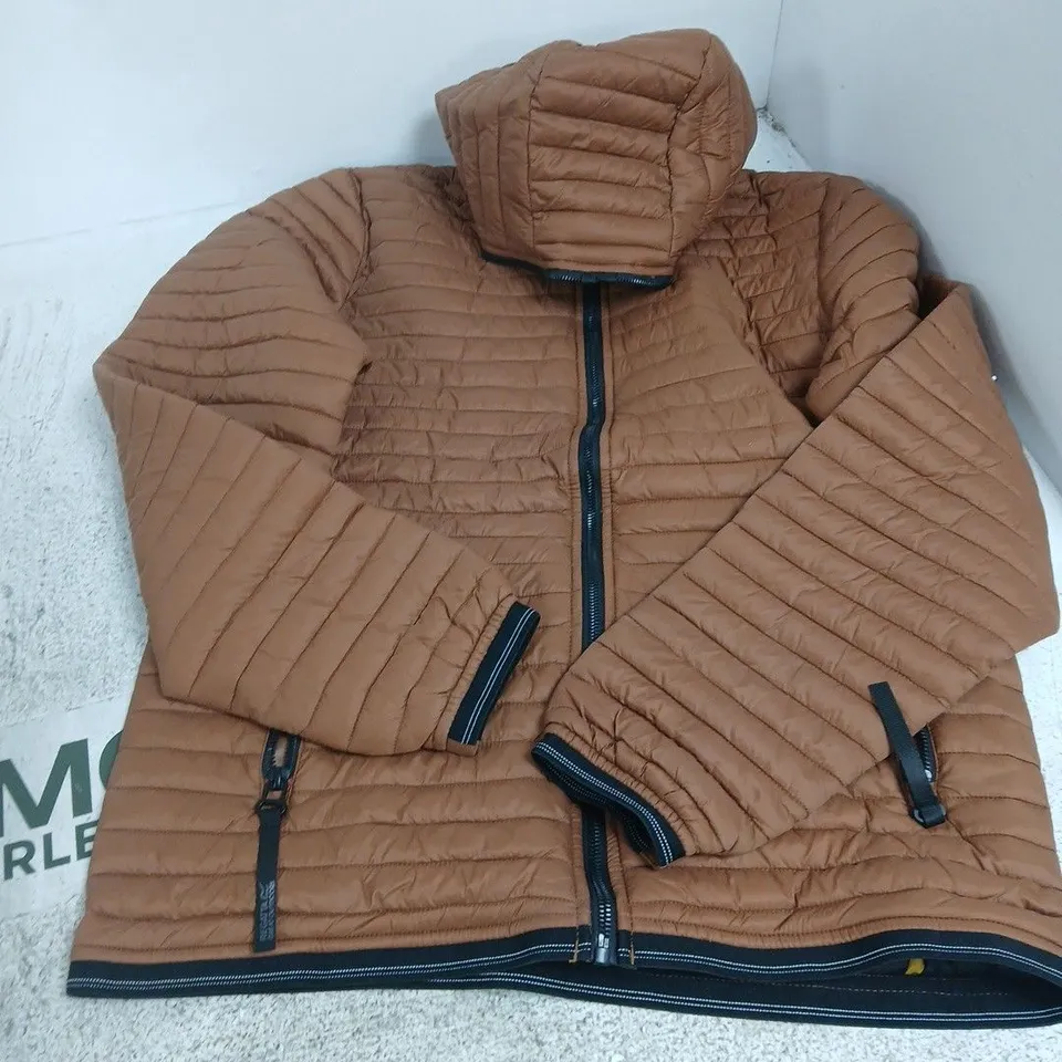 REGATTA OUTDOORS HOODED PADDED JACKET – BROWN, UK L (EU 52-54, USA L)