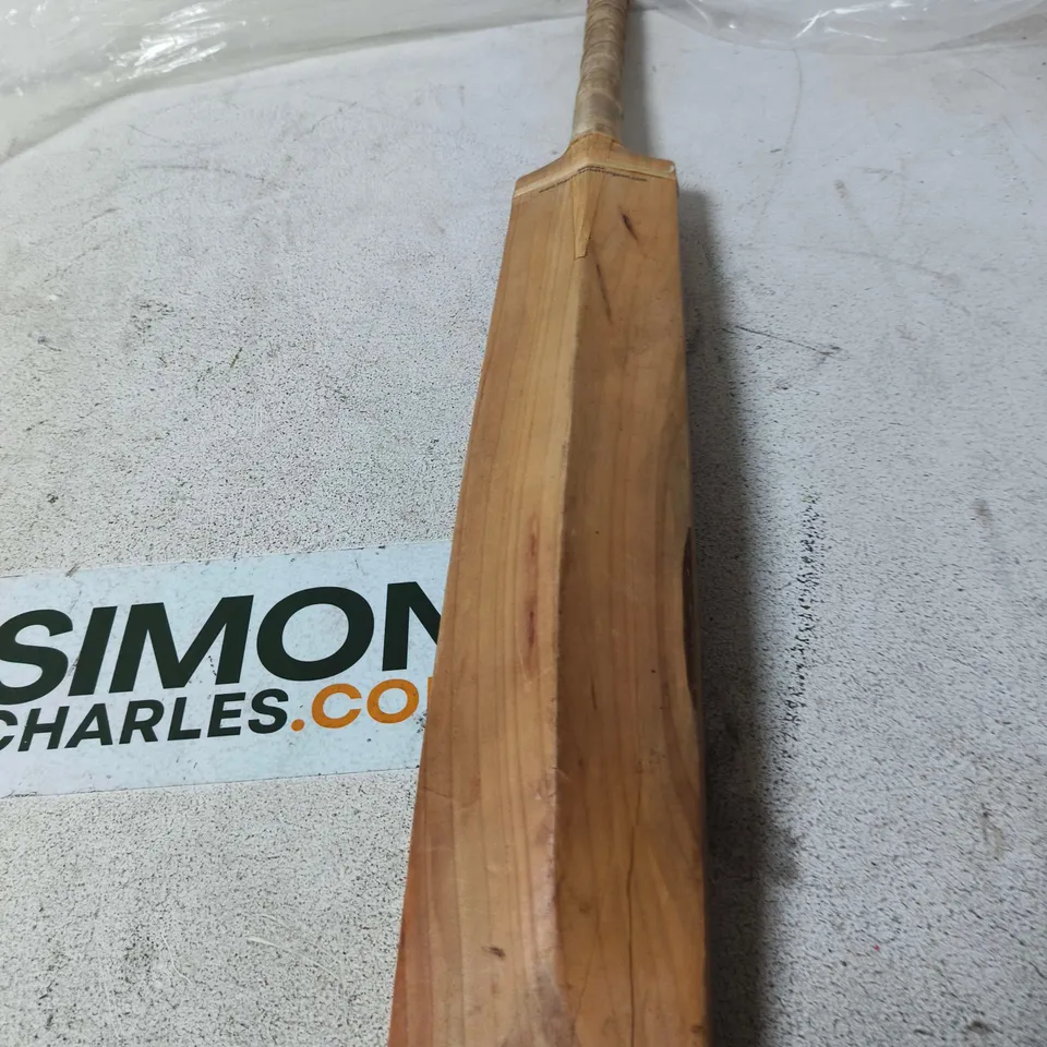 DAMAGED CRICKET BAT