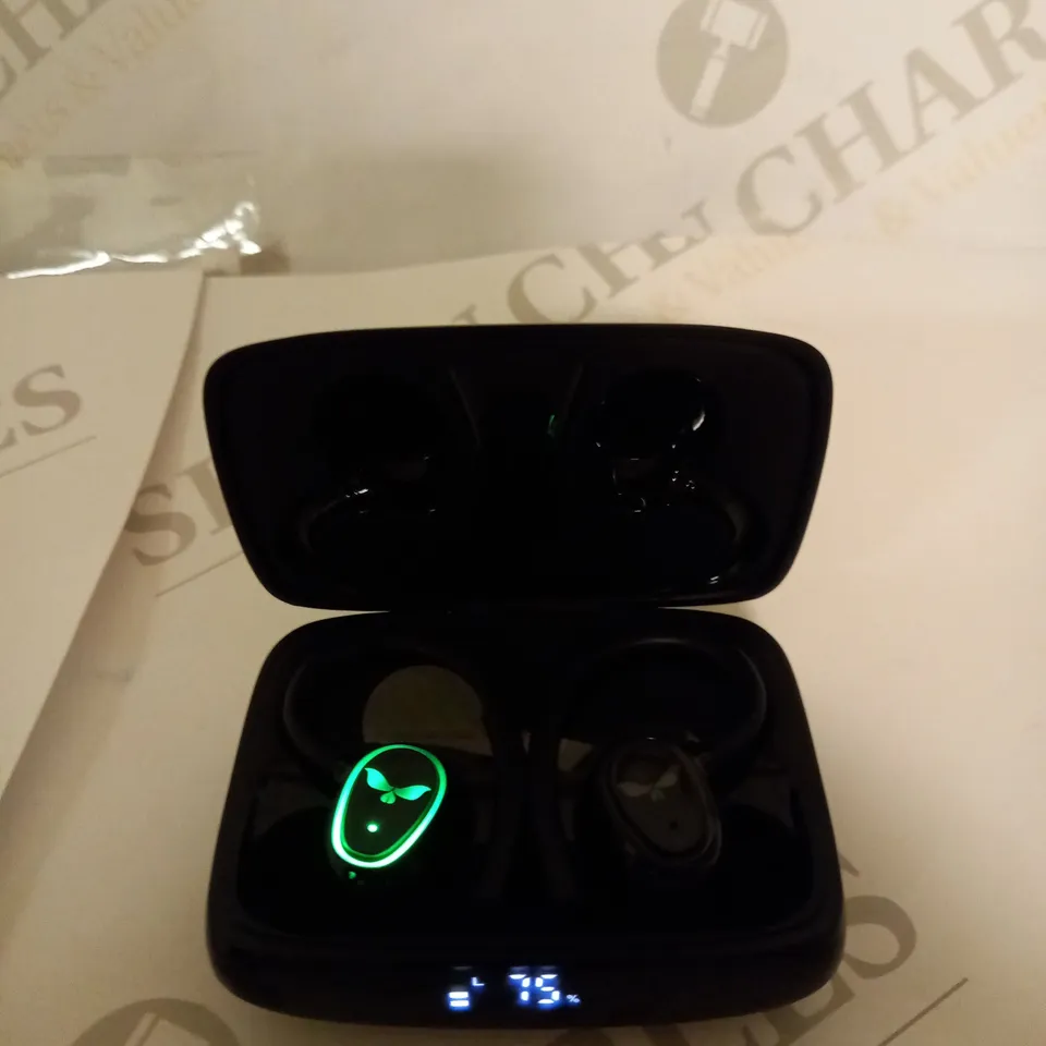 ORDTOP TRUE WIRELESS EARBUDS 