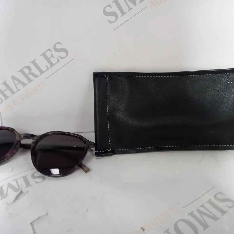 BOXED HUMMINGBIRD POLARISED CLASSIC SUNGLASSES