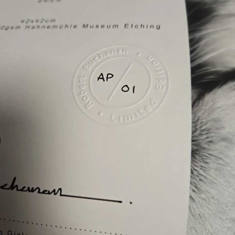 ROBERT BUCHANAN ALBION 2025 LIMITED EDITION GICLEE PRINT – TIGER PORTRAIT (AP 01)