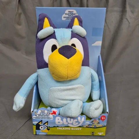 TALKING BLUEY PLUSH TEDDY