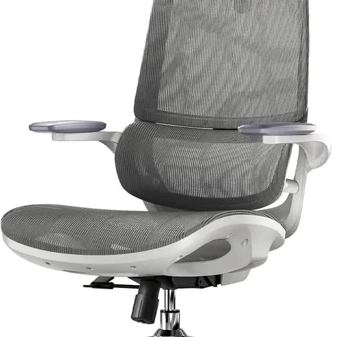 BOXED SIHOO ERGONOMIC OFFICE CHAIR, DESK CHAIR WITH 3D COORDINATED FLIP-UP ARMRESTS - GREY (1 BOX)