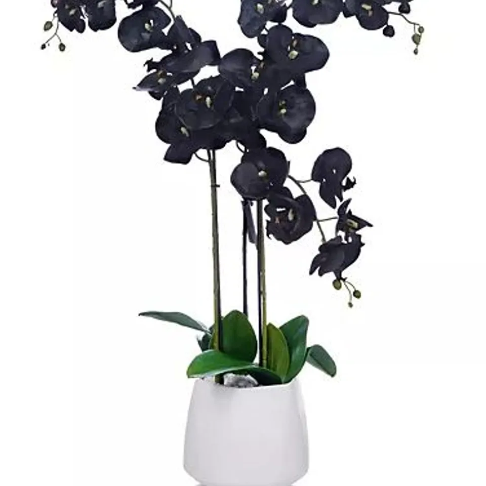 JM BY JULIEN MACDONALD MULTI STEM ORCHID IN WHITE GLAZED POT BLACK
