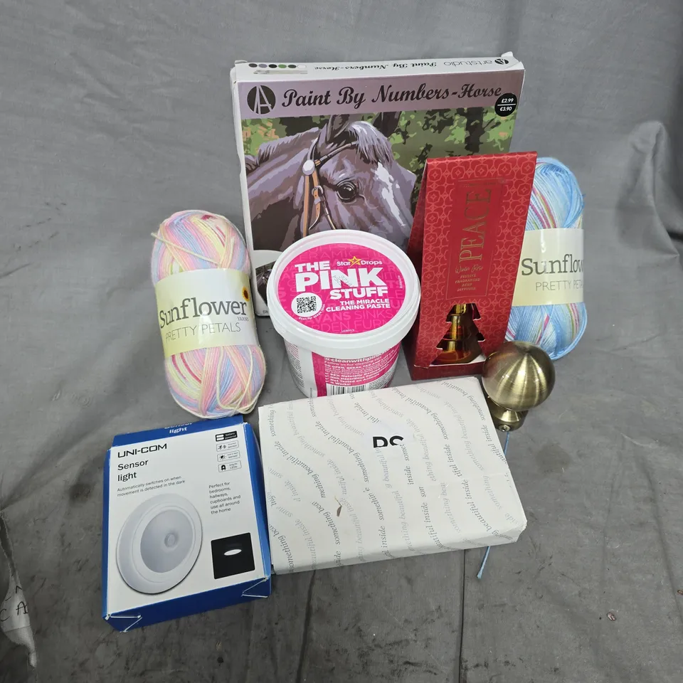 APPROXIMATELY 12 ASSORTED HOUSEHOLD ITEMS TO INCLUDE SENSOR LIGHT, THE PINK STUFF PASTE, PAINT BY NUMBERS HORSE, ETC