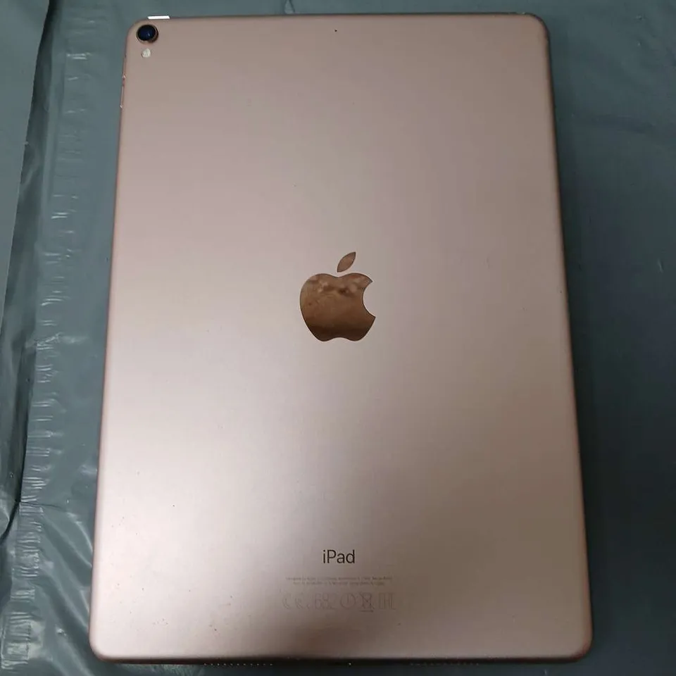 APPLE IPAD PINK 