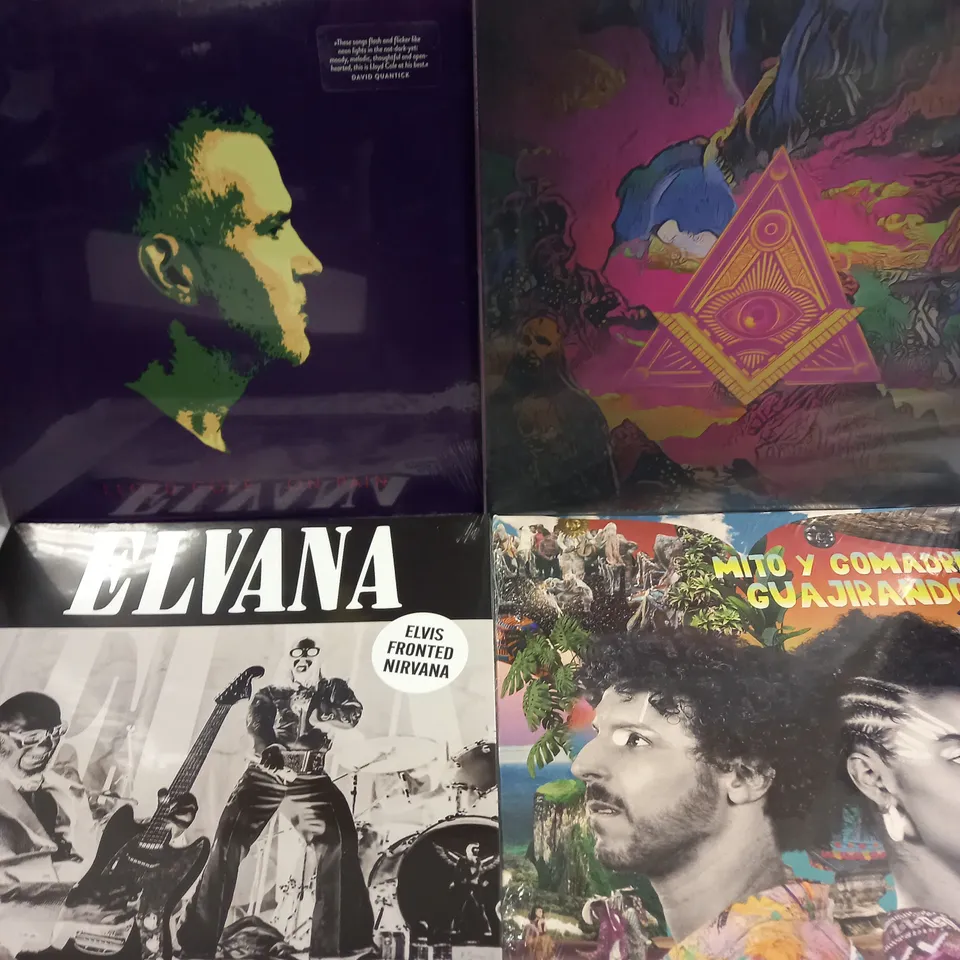 APPROXIMATELY 10 ASSORTED VINYLS FROM VARIOUS ARTISTS TO INCLUDE ELVANA, LLOYD COLE, CANDIE PAYNE ETC 