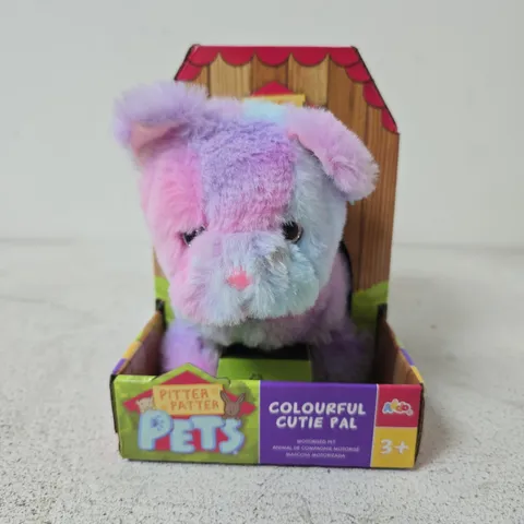 PITTER PATTER PETS COLOURFUL CUTIE PAL PLUSH TOY