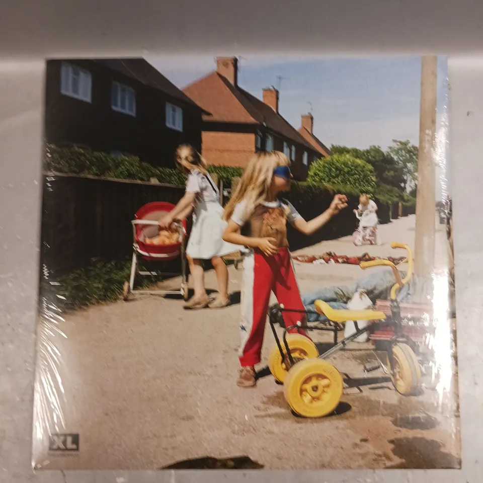 SAM MORTON DAFFODILS DIRT VINYL