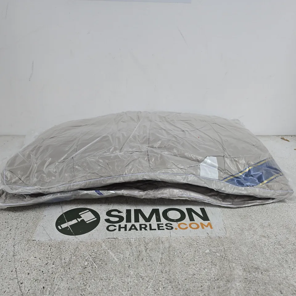SET OF 2 PILLOWS