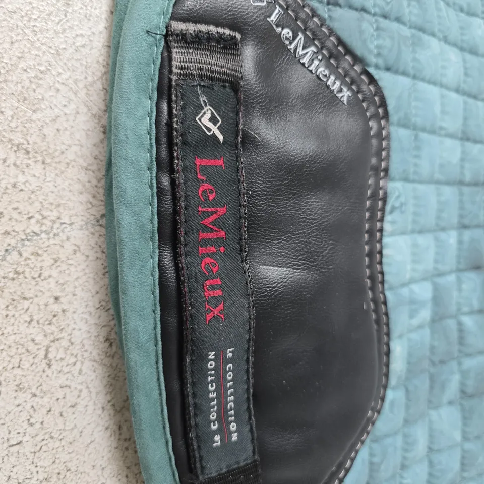 LEMIEUX GLACE CLOSE CONTACT SADDLE CLOTH IN SAGE