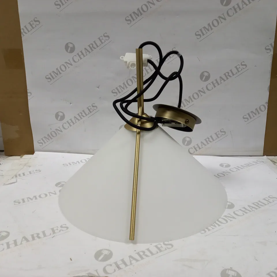 SWOON MENDEL CEILING LIGHT