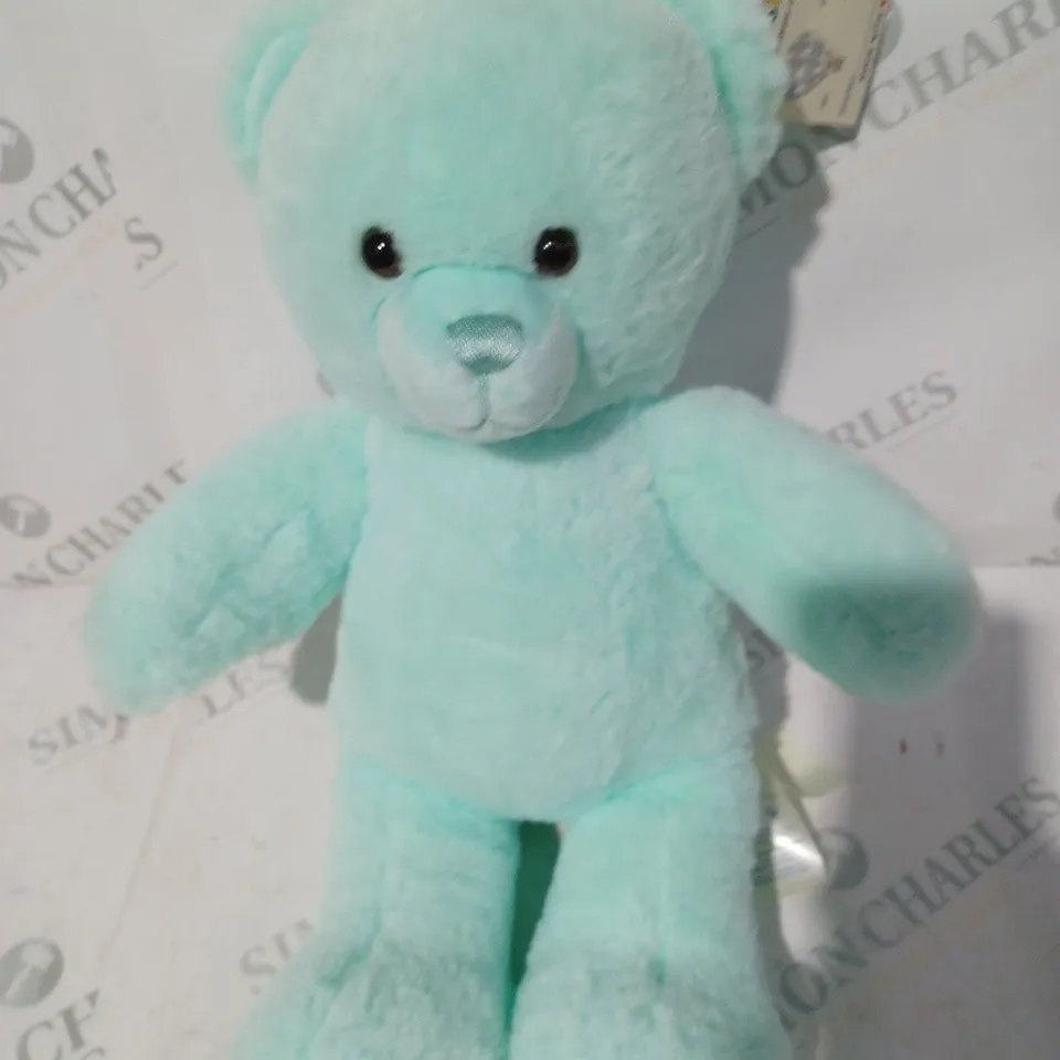 BUILD-A-BEAR SOFT TEDDY PLUSH IN MINT