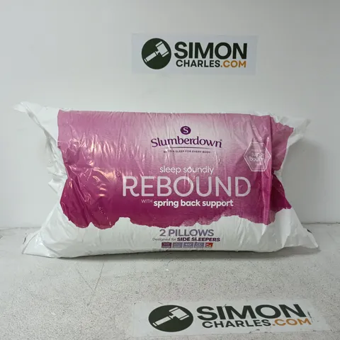 SLUMBERDOWN 2 PILLOWS REBOUND WITH BACK SUPPORT