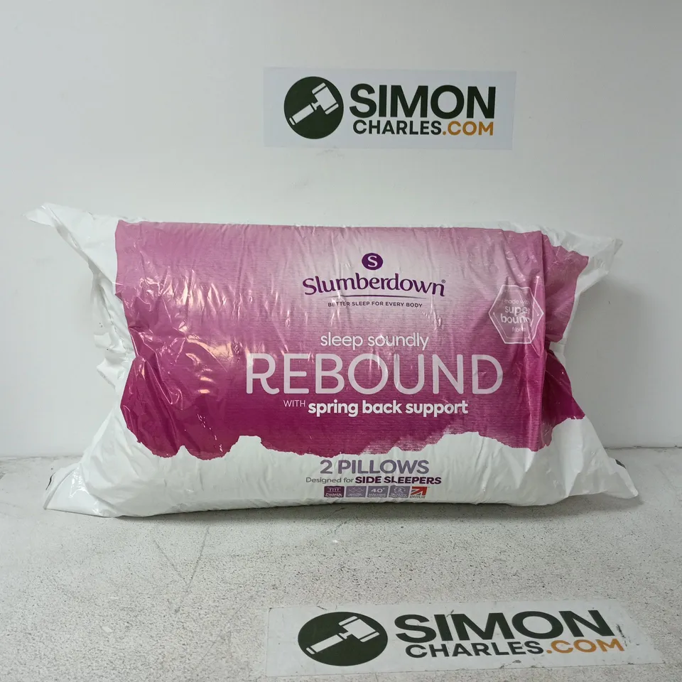 SLUMBERDOWN 2 PILLOWS REBOUND WITH BACK SUPPORT