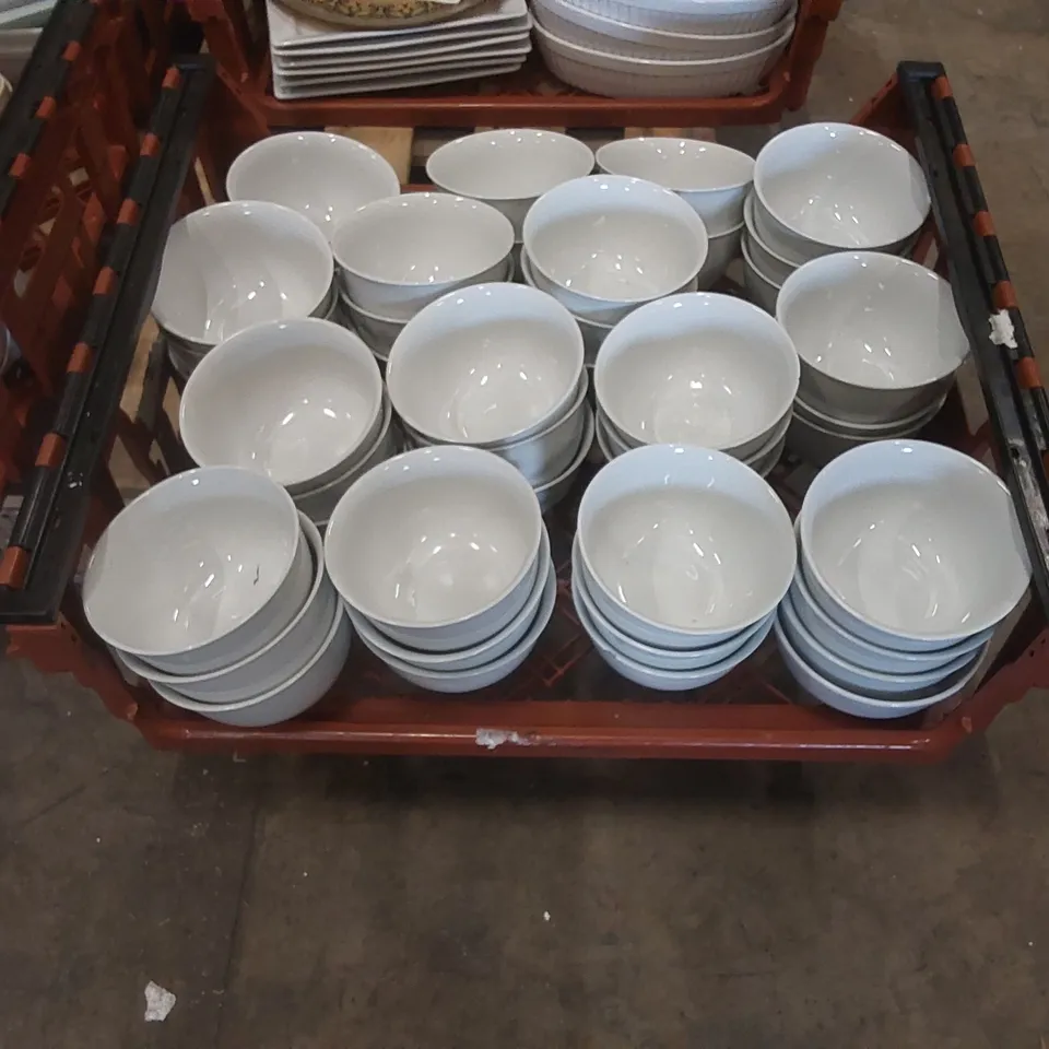 TOTE TO CONTAIN RESTAURANT BOWLS 