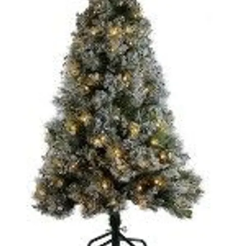 BOXED ALISON CORK SUGAR SPRUCE TREE - NATURAL 5 FT - COLLECTION ONLY