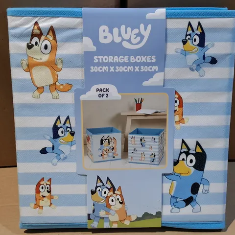 BLUEY STORAGE BOXES PACK OF 2