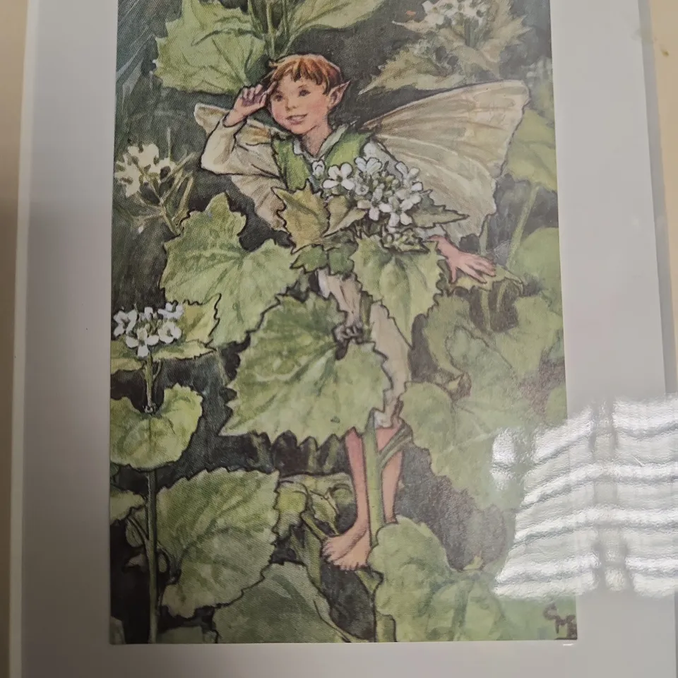 CECILY MARY BARKER FLOWER FAIRY ILLUSTRATION, C.1950