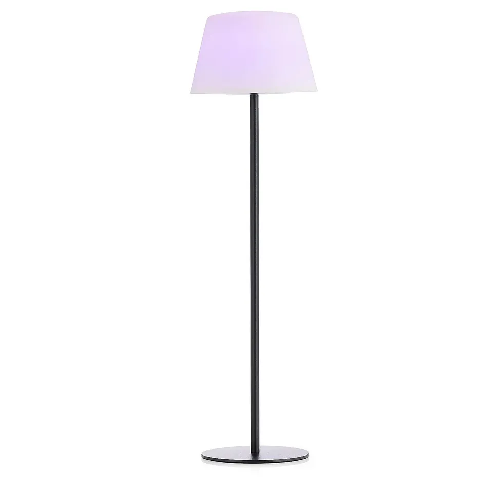 FLOURISH SOLAR FLOOR LAMP WITH REMOTE