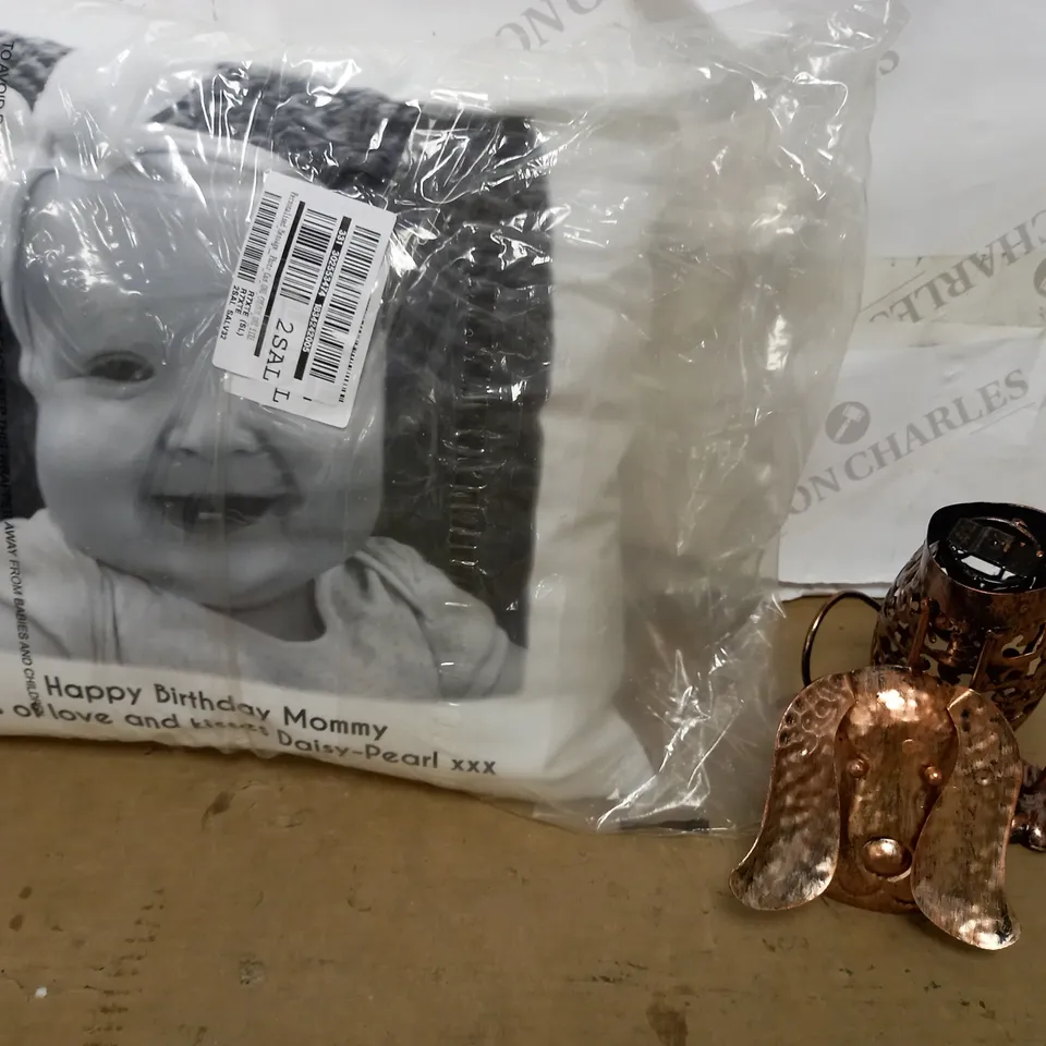 LOT OF 2 ASSORTED ITEMS TO INCLUDE PERSONALISED CUSHION AND METAL DOG SCROLL LIGHT RRP £19.99