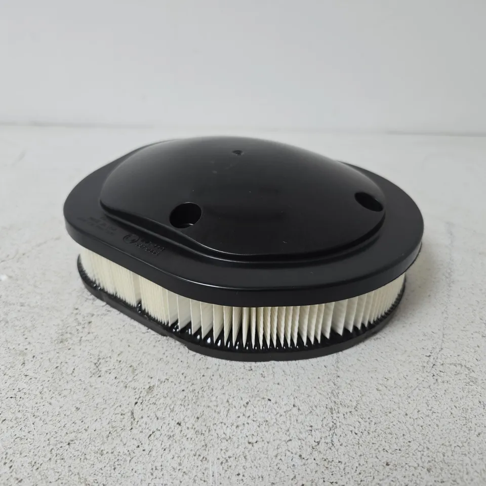 POLARIS 5815068 AIR FILTER