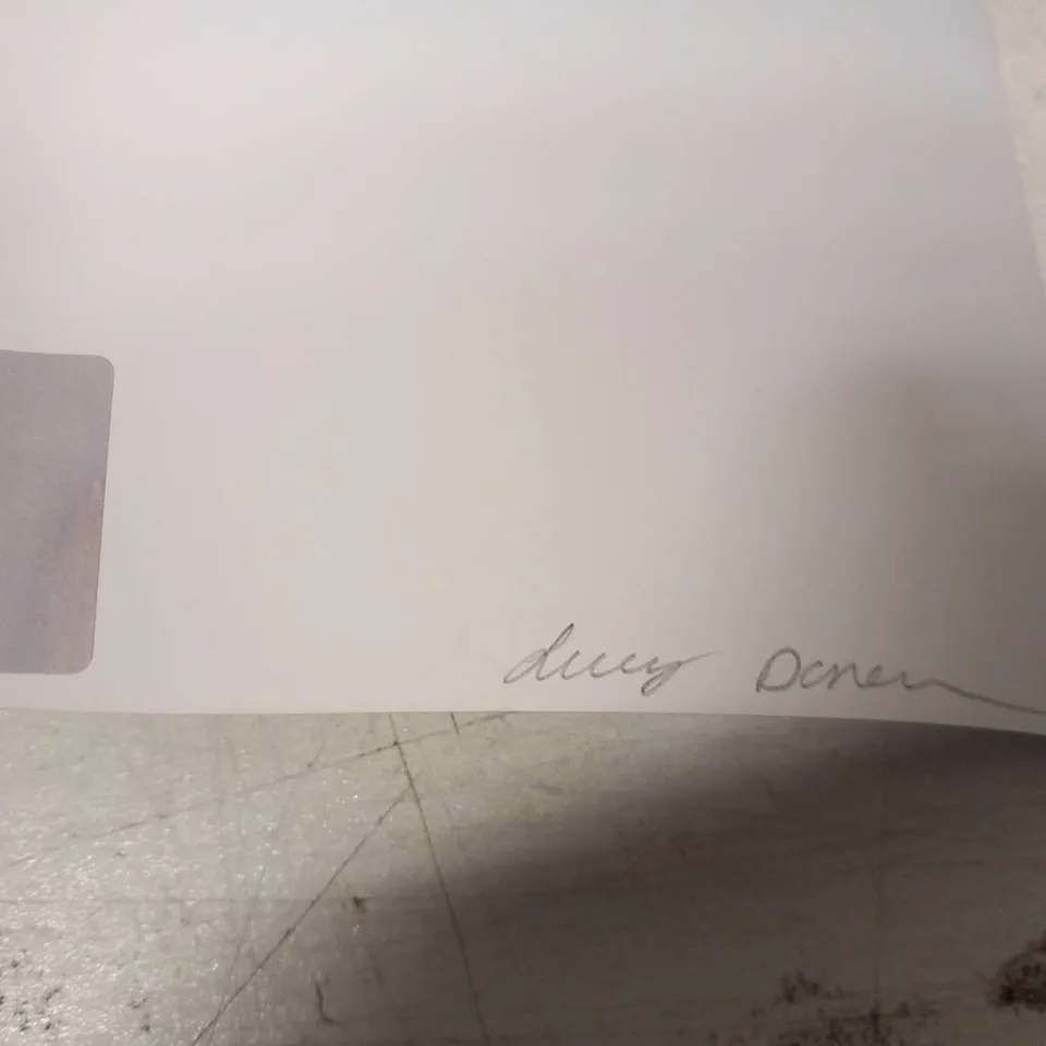 TWO ASSORTED LUCY DONOVAN SIGNED PRINTS TO INCLUDE; THE BOE AND THE BOE II 