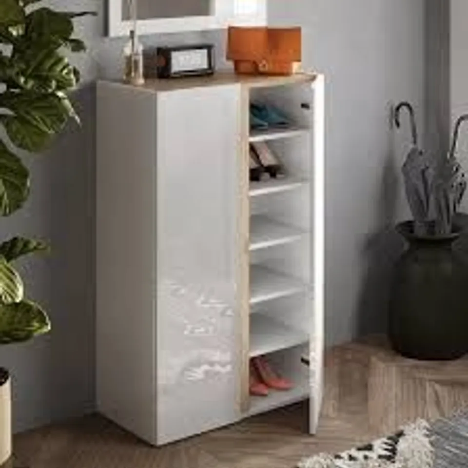 BOXED 25 PAIR SHOE STORAGE CABINET