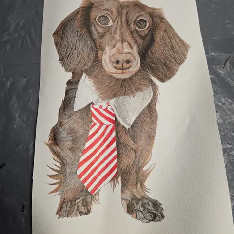 DOG ILLUSTRATION – HAND-DRAWN PENCIL DRAWING ON PAPER 