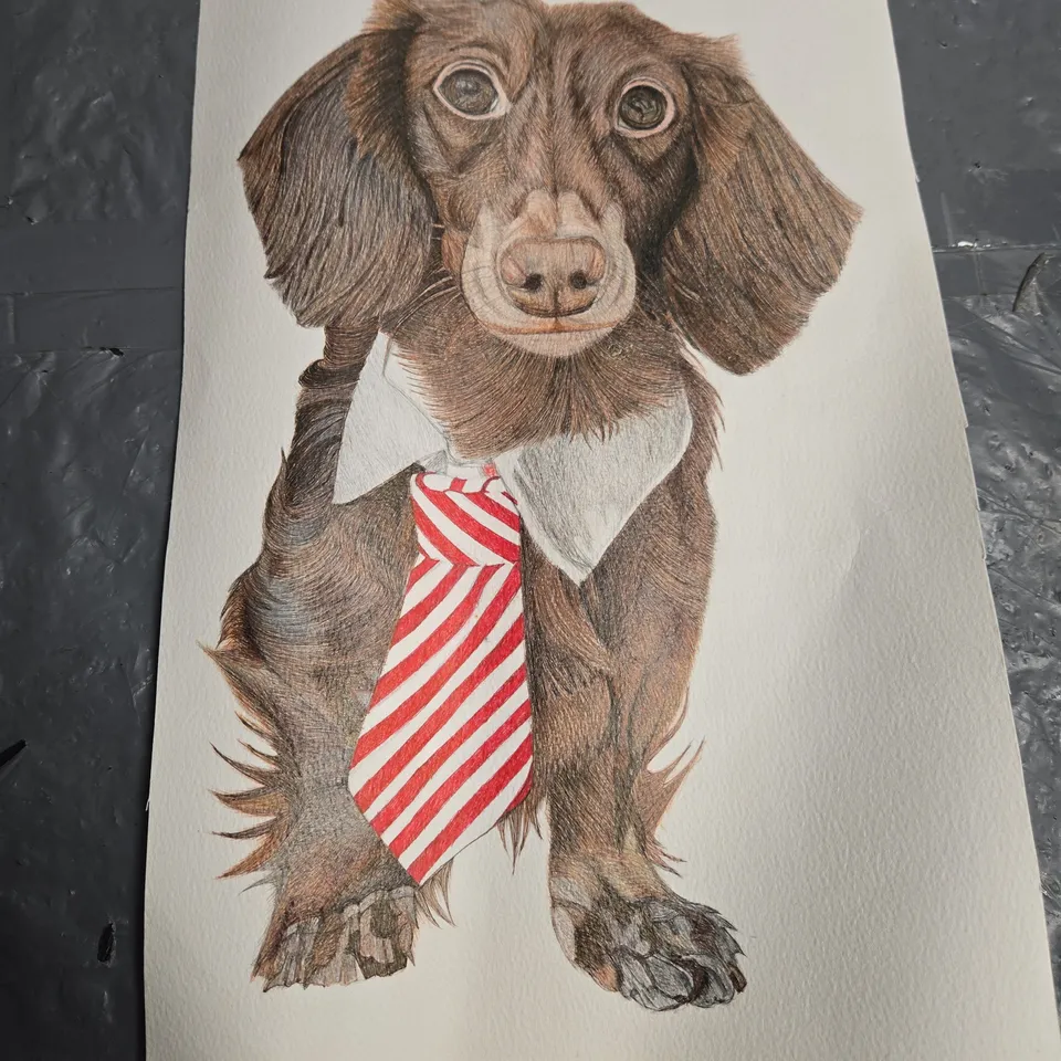 DOG ILLUSTRATION – HAND-DRAWN PENCIL DRAWING ON PAPER 
