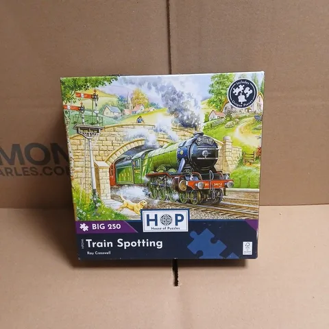 HOUSE OF PUZZLES TRAIN SPOTTING RAY CRESSWELL BIG 250 PUZZLE BOXED
