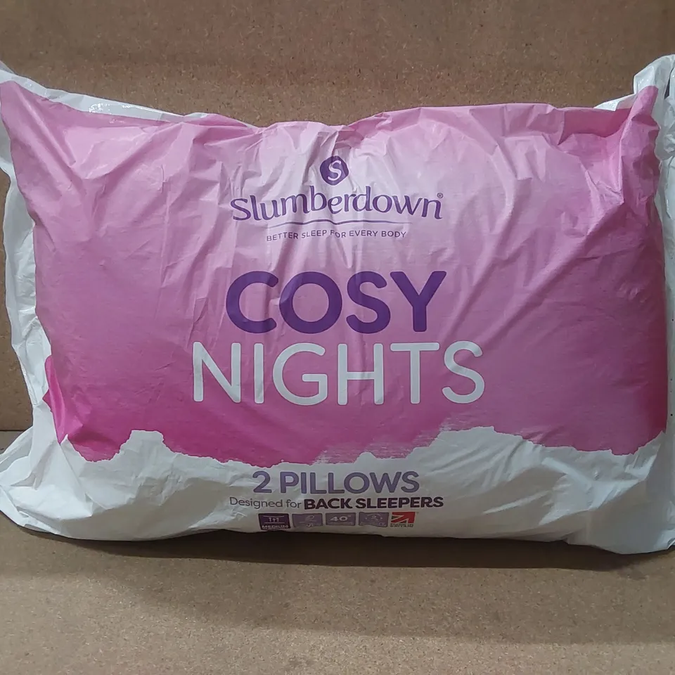 BAGGED SLUMBERDOWN COSY NIGHTS 10.5 TOG ALL YEAR ROUND DUVET WITH 2 PILLOWS