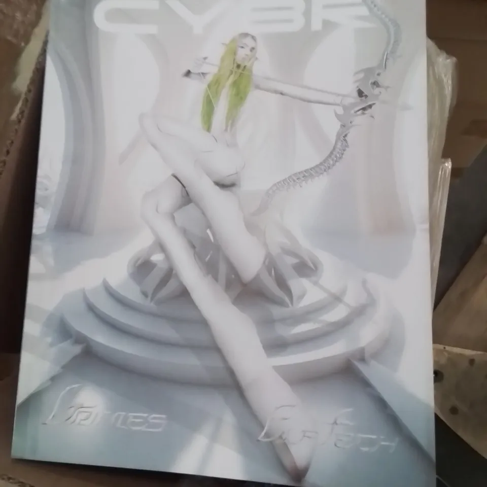 PALLET CONTAINING APPROXIMATELY 200 CYBER BULK COPIES BOOKS