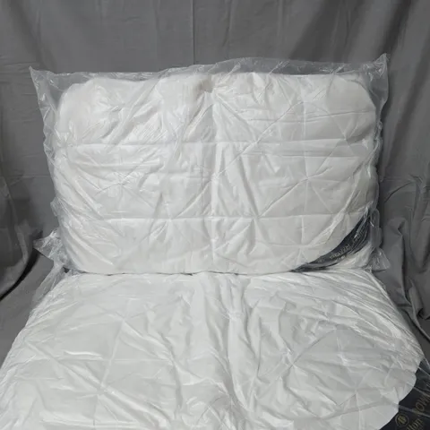 HILTON HOTEL DOWN QUILT PILLOW PAIR IN WHITE