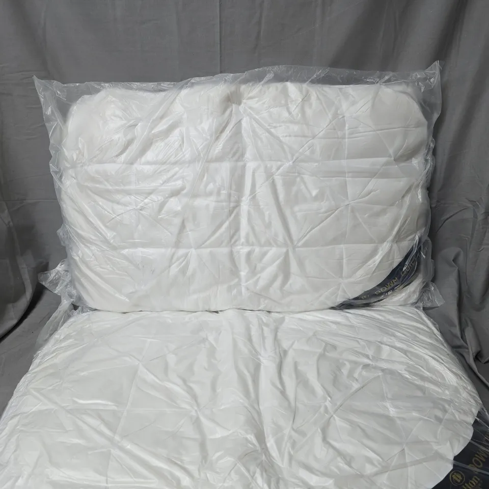 HILTON HOTEL DOWN QUILT PILLOW PAIR IN WHITE