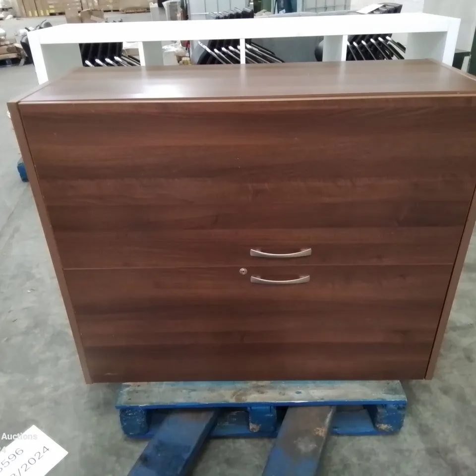 PALLET CONTAINING A LARGE 2 DOOR CABINET AND A 12 SPACE WHITE STORAGE UNIT