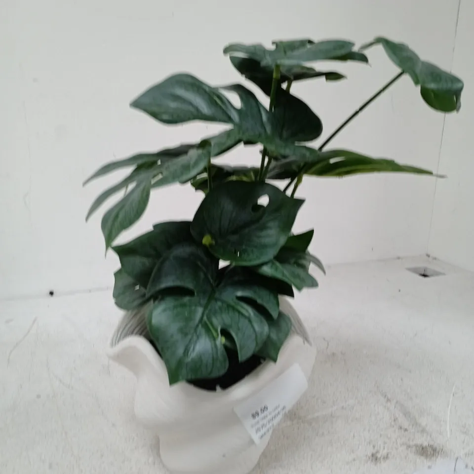 OLIVE TREE IN CERAMIC POT