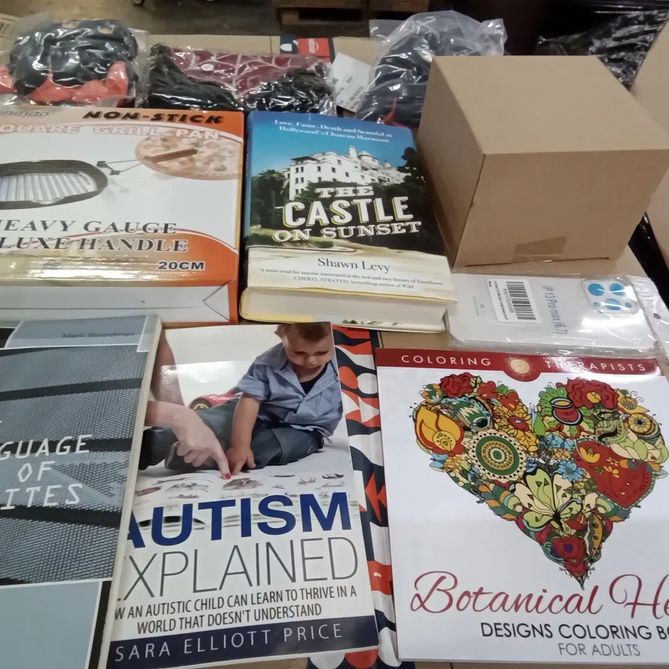PALLET OF ASSORTED ITEMS INCLUDING THE CASTLE ON SUNSET BOOK, NON STICK SQARUE GRILL PAN, IPHONE 13 PRO CLEAR CASE, AUTISM EXPLAINED BOOK, THE LANGUAGE OF WEBSITES BOOK, GRADIENT BLUE ASHTRAY 