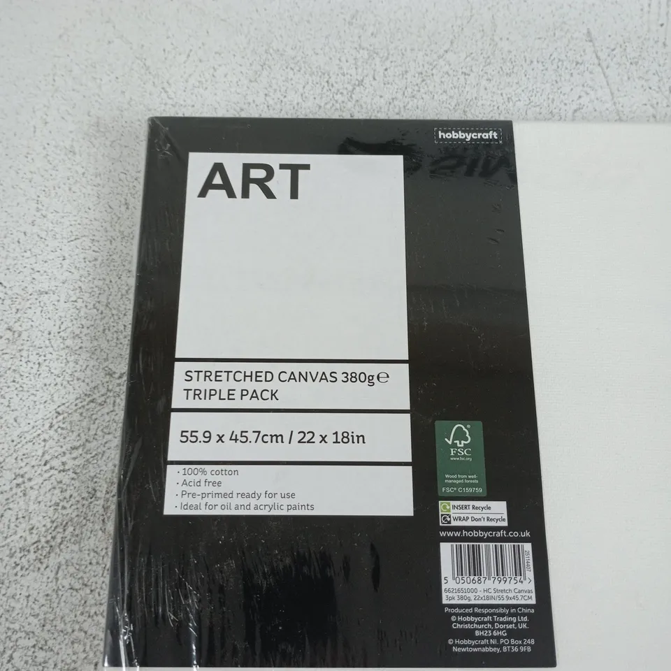 HOBBYCRAFT STRETCHED CANVAS TRIPLE PACK – 55.9 X 45.7 CM (22 X 18 IN), 380G, 100% COTTON