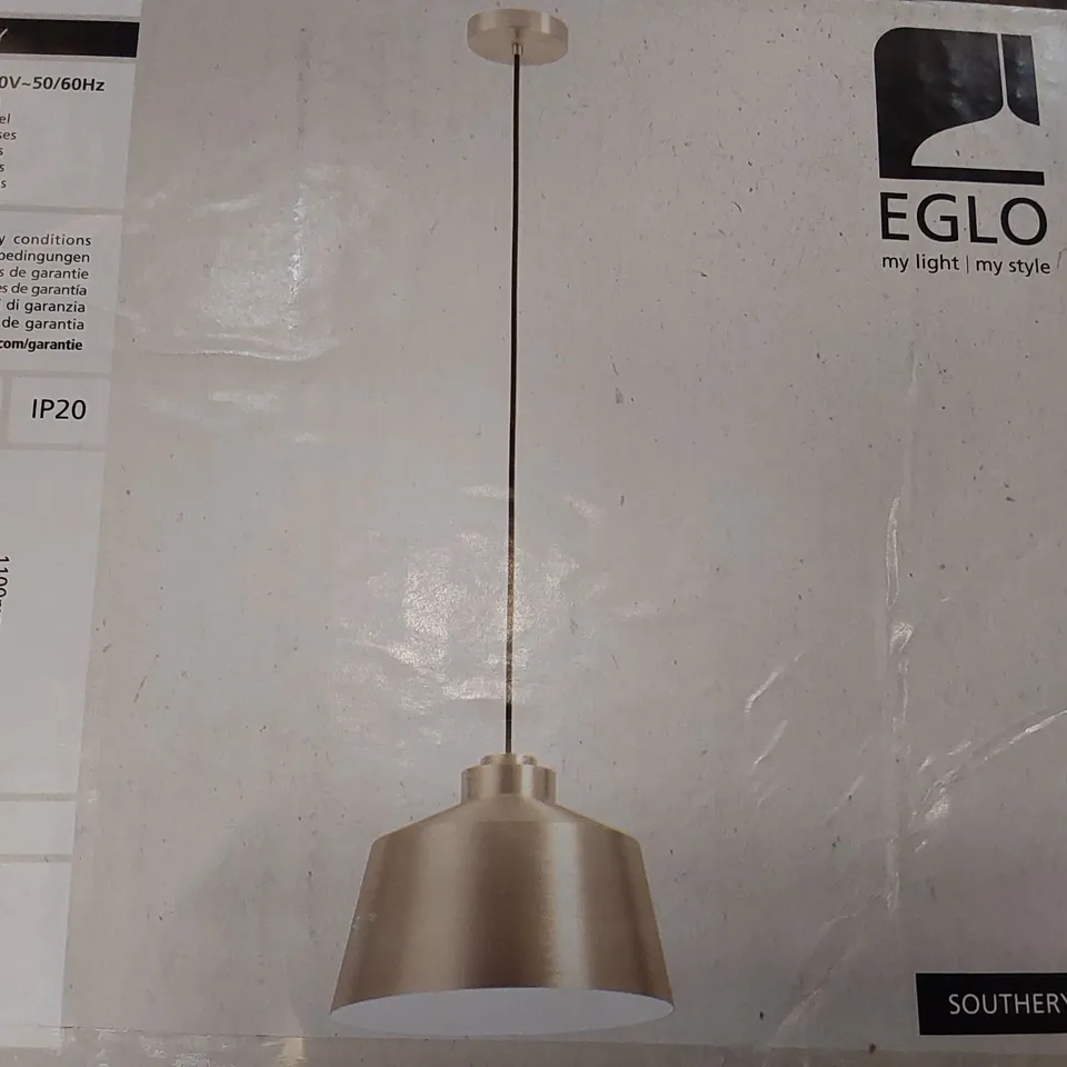 BOXED WILLETON 1-LIGHT NOVELTY PENDANT (1 BOX)