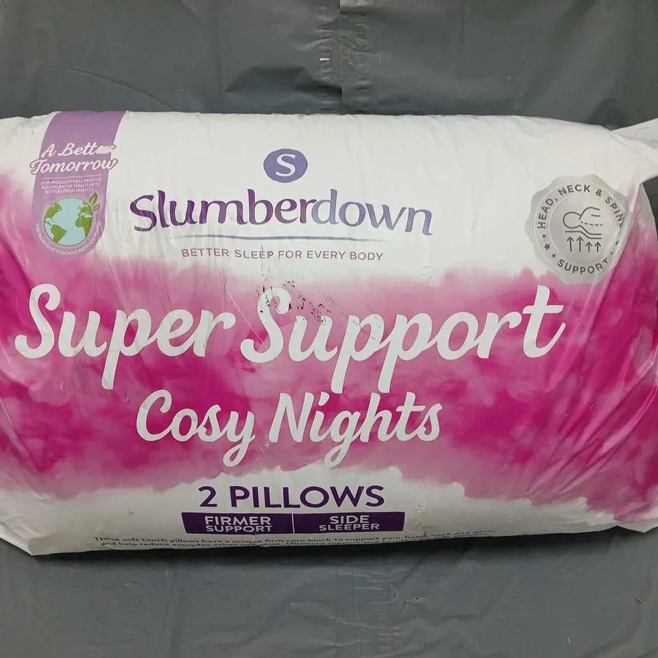 SLUMBERDOWN SUPER SUPPORT PILLOW PAIR