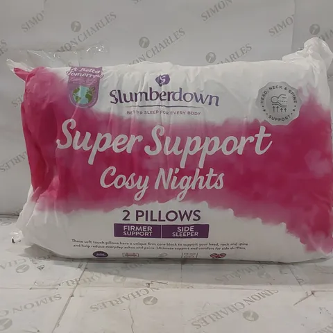BAGGED SLUMBERDOWN PAIR OF SUPER SUPPORT PILLOWS 