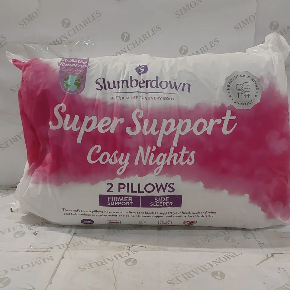 BAGGED SLUMBERDOWN PAIR OF SUPER SUPPORT PILLOWS 