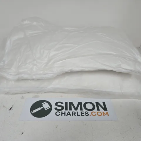 LOT OF 2 PILLOWS