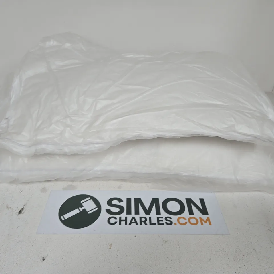LOT OF 2 PILLOWS