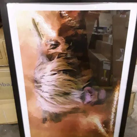 BOXED PORTRAIT OF A HIGHLAND COW - SINGLE PICTURE FRAME PAINTING (1 BOX)