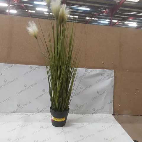 PLANT IN POT