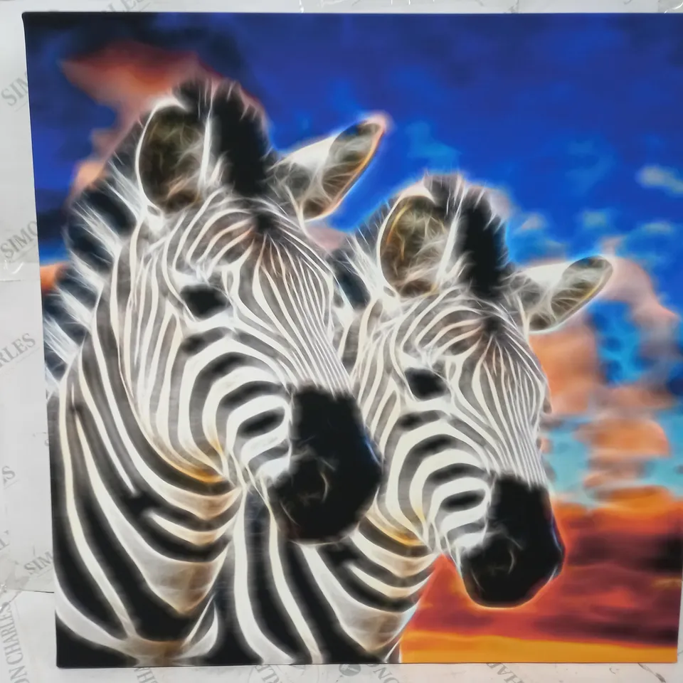 BOXED EAST URBAN 'ZEBRA COUPLE' PHOTOGRAPHIC ART PRINT WRAPPED ON CANVAS