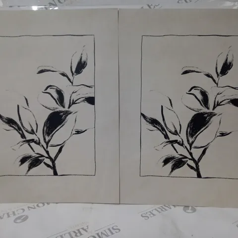 COLLECTION OF 2 BOTANY ILLUSTRATION ART PRINTS